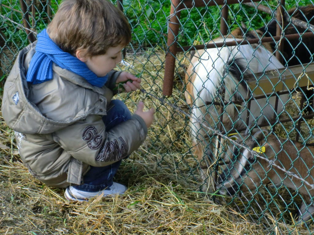 Il Vignale Vendégház Massa Martana Kültér fotó